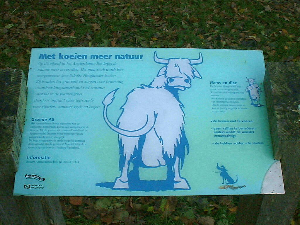 Begrazingsgebied - Amsterdam