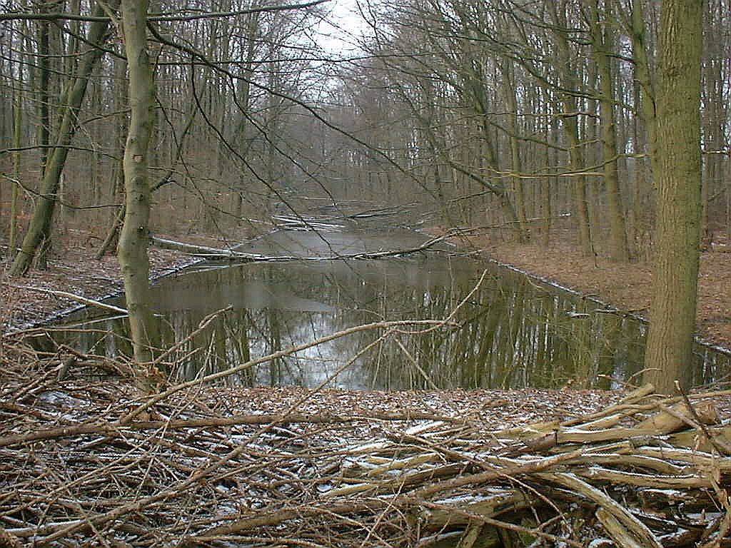 Fietspad tussen Hoofdentree en Klein Kinderbad - Amsterdam