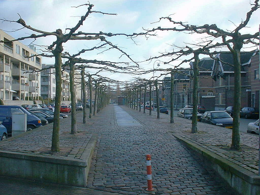 Cruquiusweg - Amsterdam