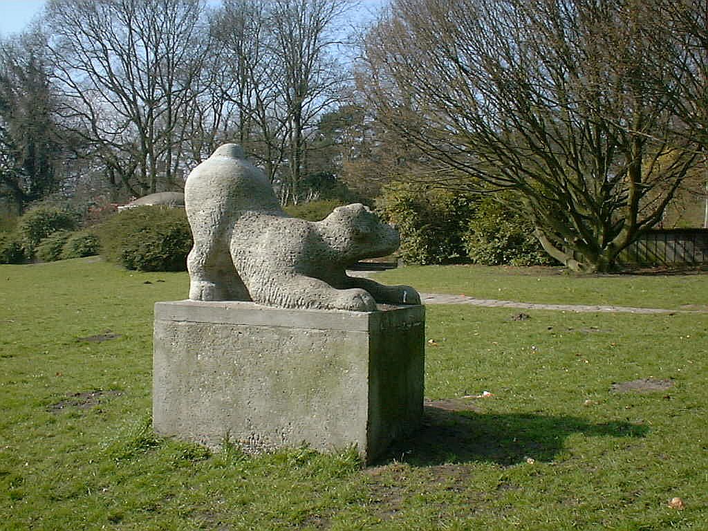 Spelende hond - Amsterdam