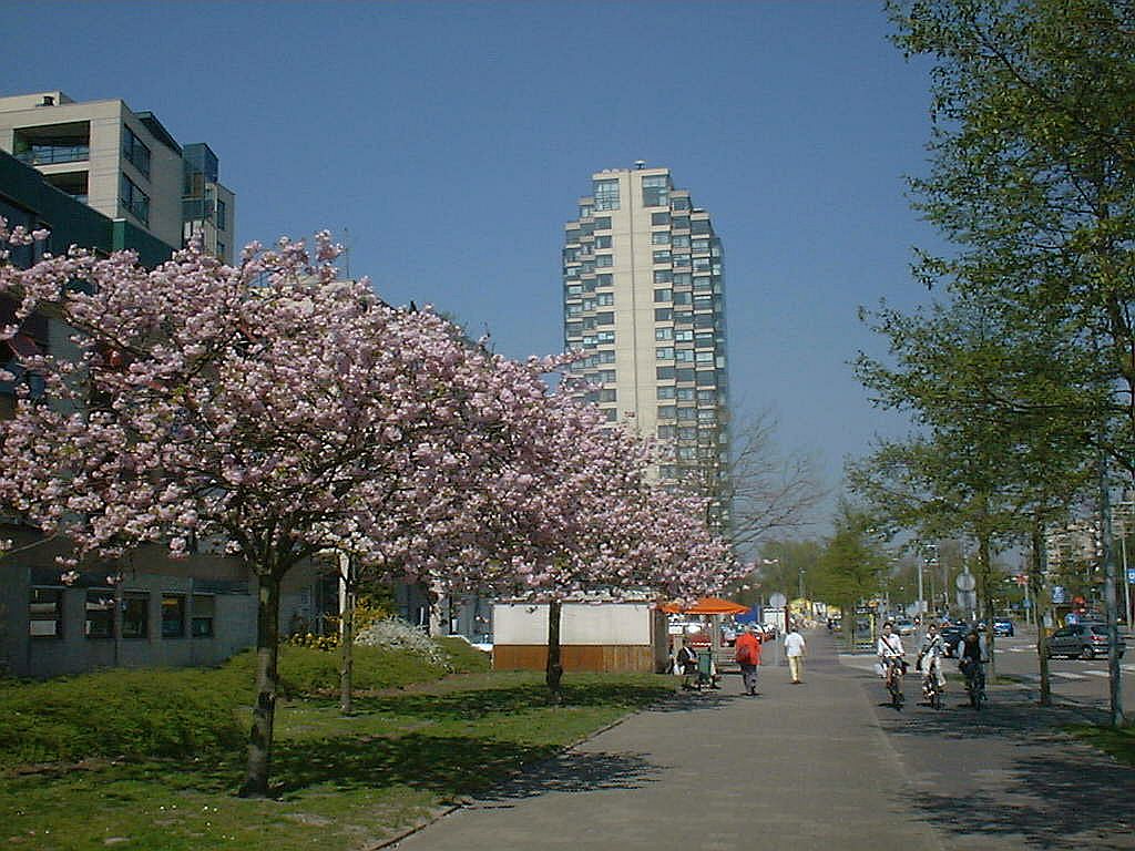 Van Leijenberghlaan - Amsterdam