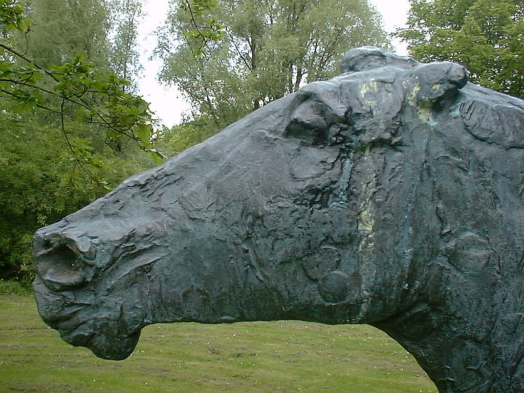 Ruiter van Floyd DeWitt - Amsterdam