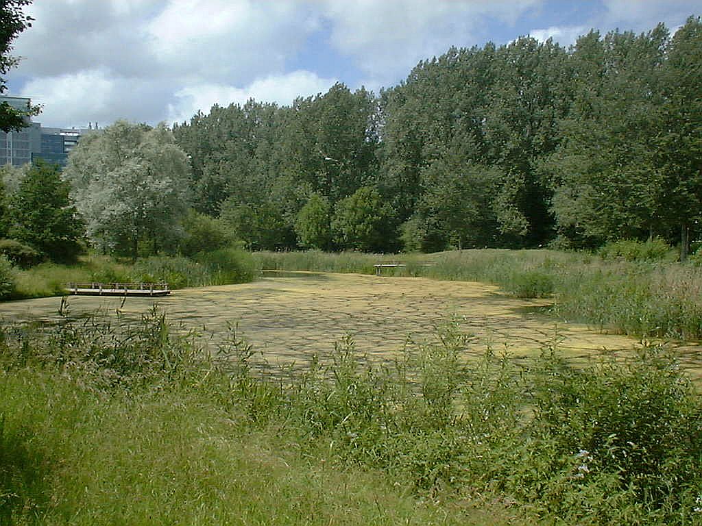 Natte vallei - Amsterdam