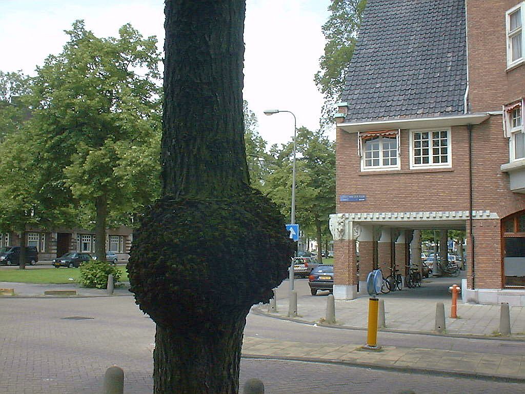 Minervalaan - Hoek Gerrit van der Veenstraat - Amsterdam