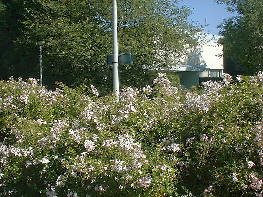 Overijsselweg - Amsterdam