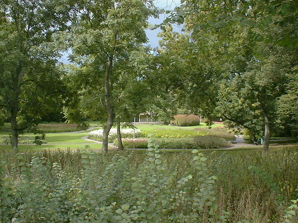 Het Park - Amsterdam