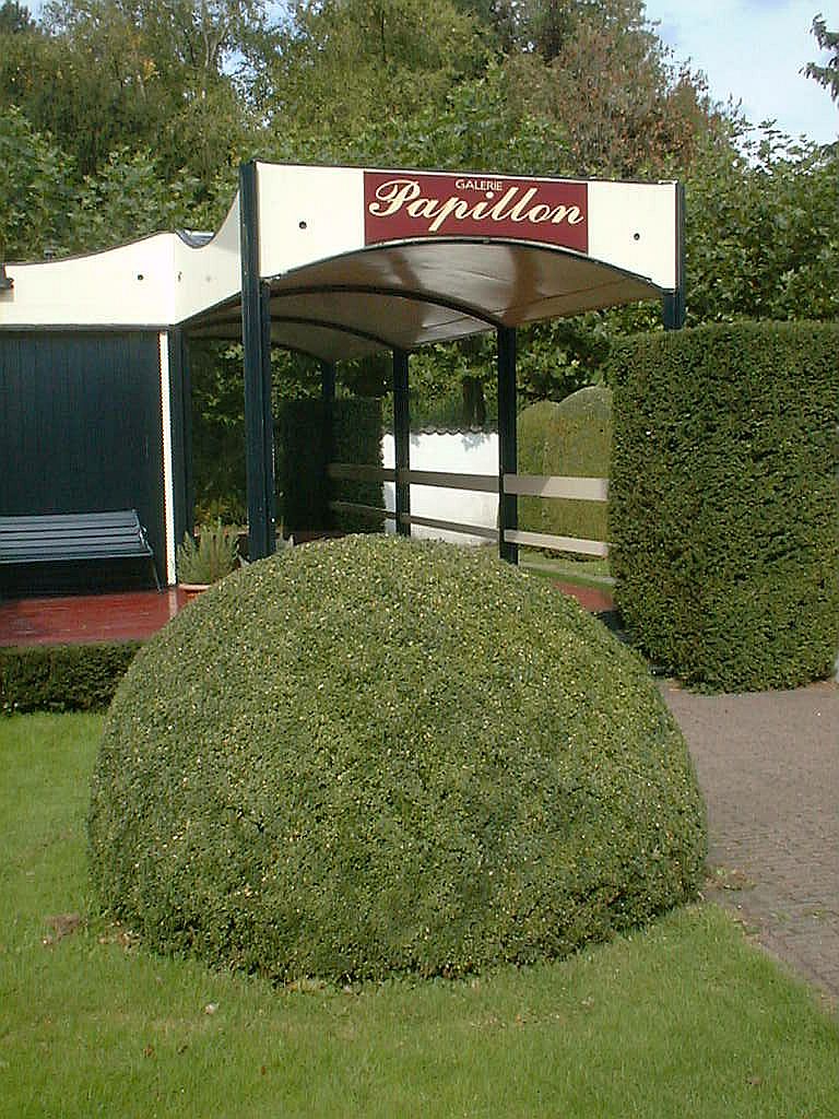 Papillon - Amsterdam