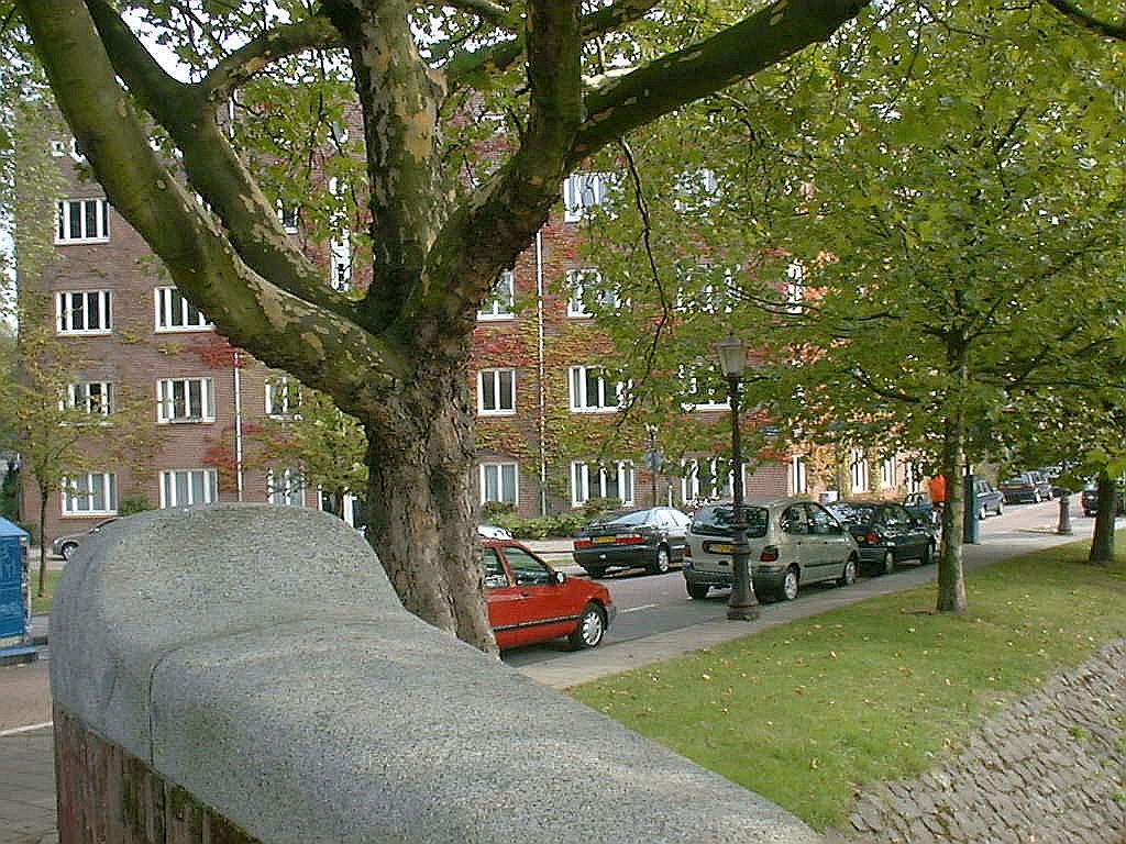 Reijnier Vinkeleskade - Amsterdam