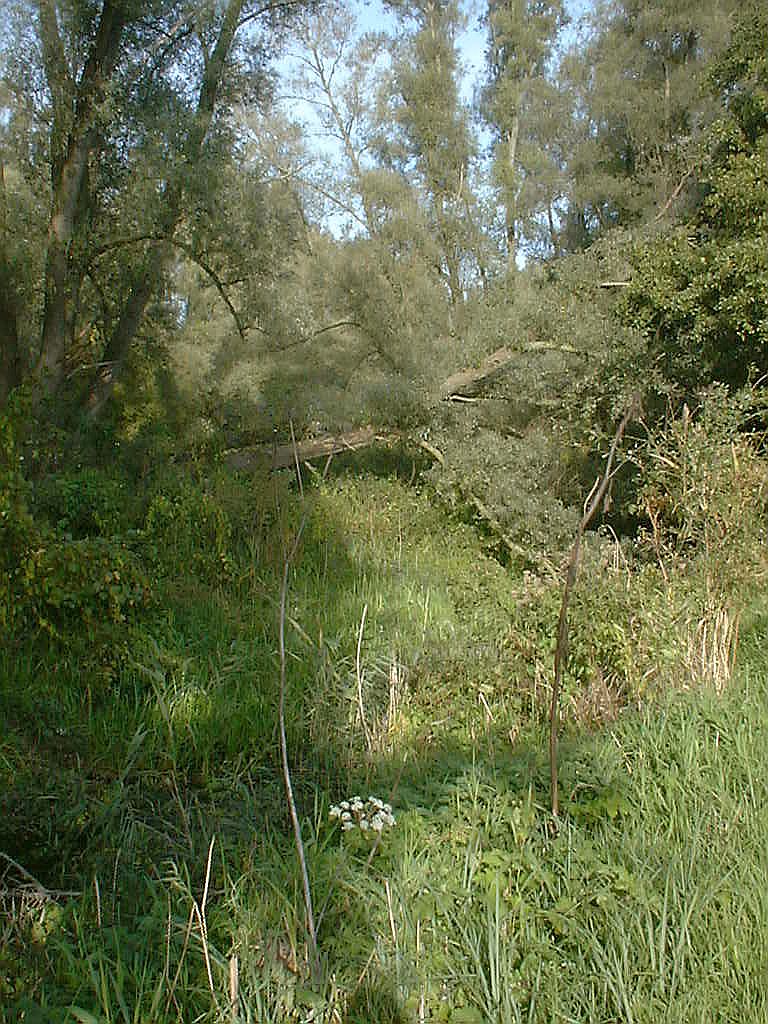 Landschapspark De Oeverlanden - Amsterdam