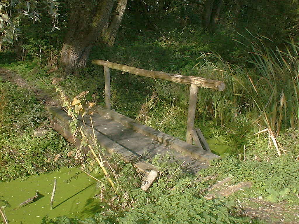 Landschapspark De Oeverlanden - Amsterdam