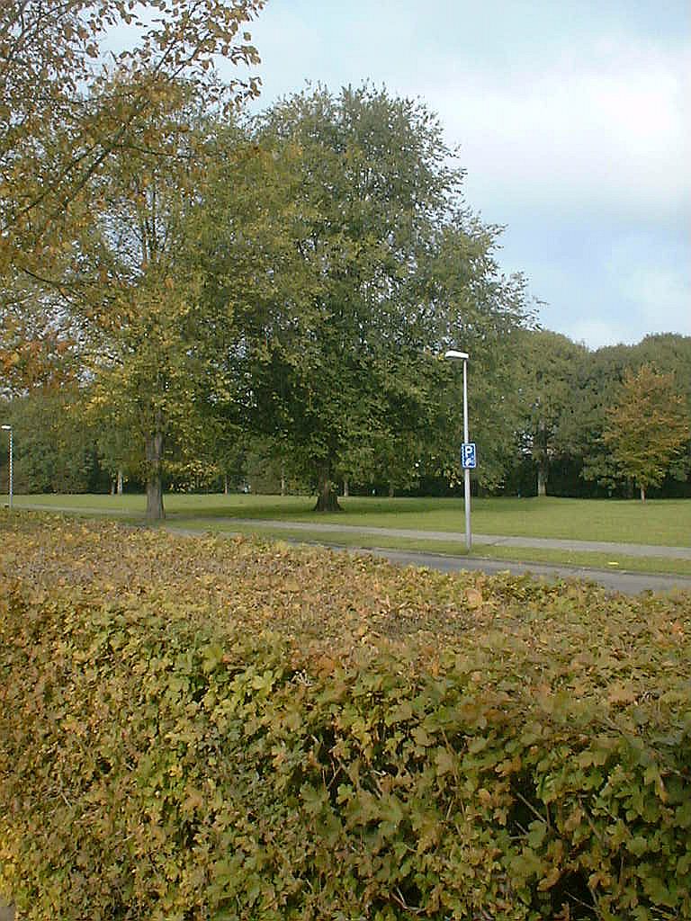 Martin Luther Kingpark - Amsterdam