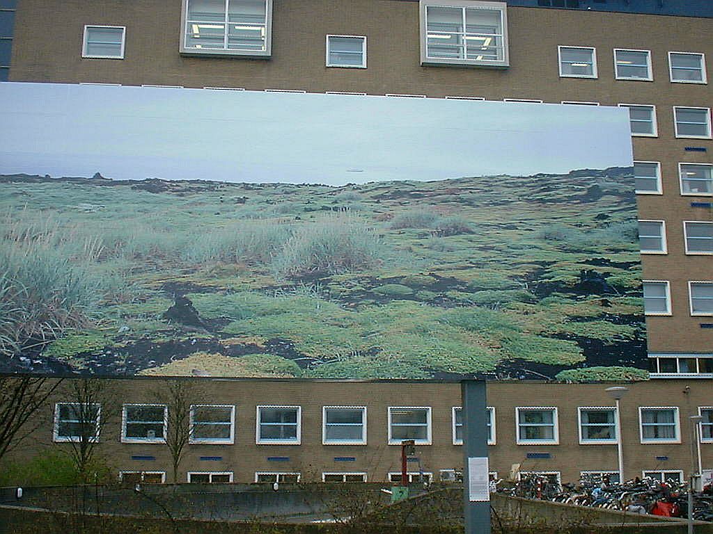 Landfall - Vrije Universiteit Medisch Centrum - Amsterdam