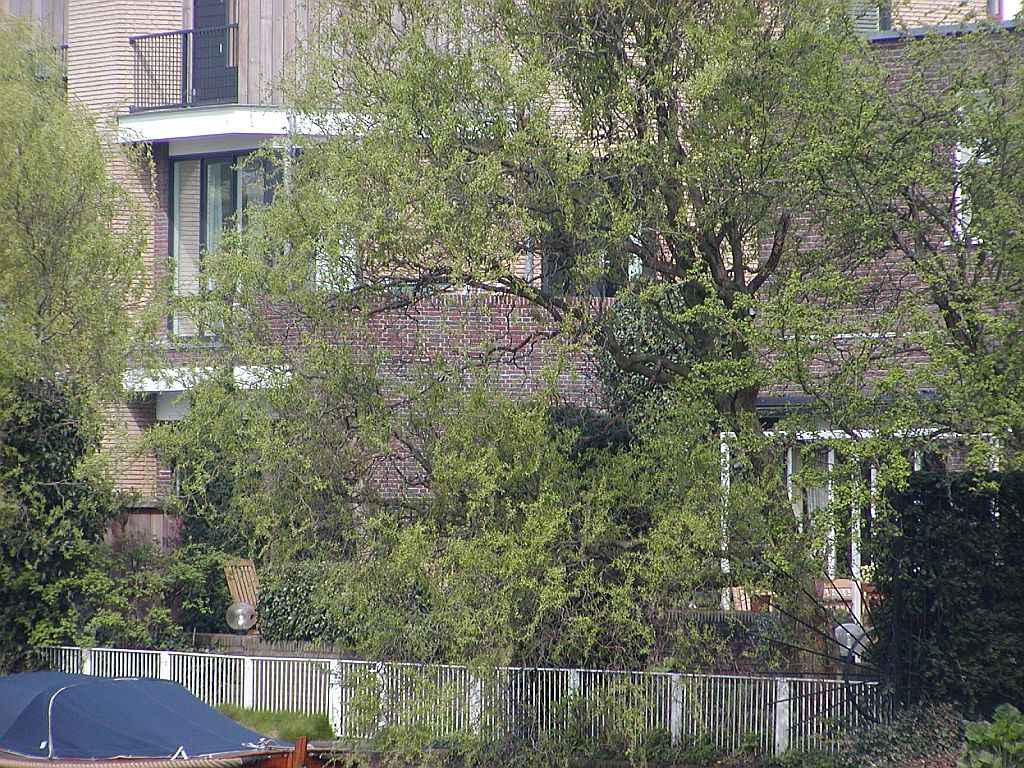 Dirk Schaferstraat - Amsterdam