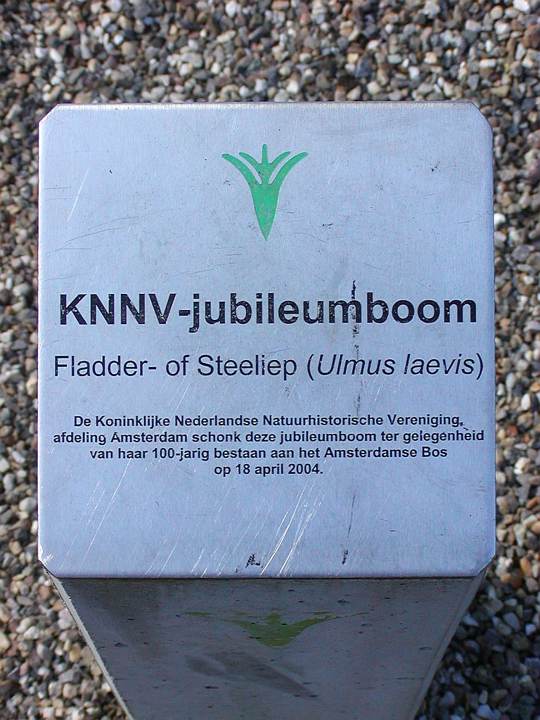 Bezoekerscentrum De Molshoop KNNV-Jubileumiep - Amsterdam