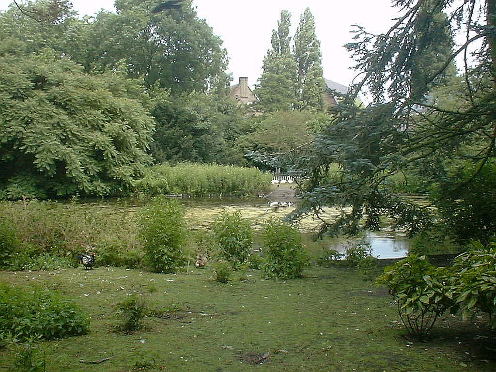 Eendenvijver - Amsterdam