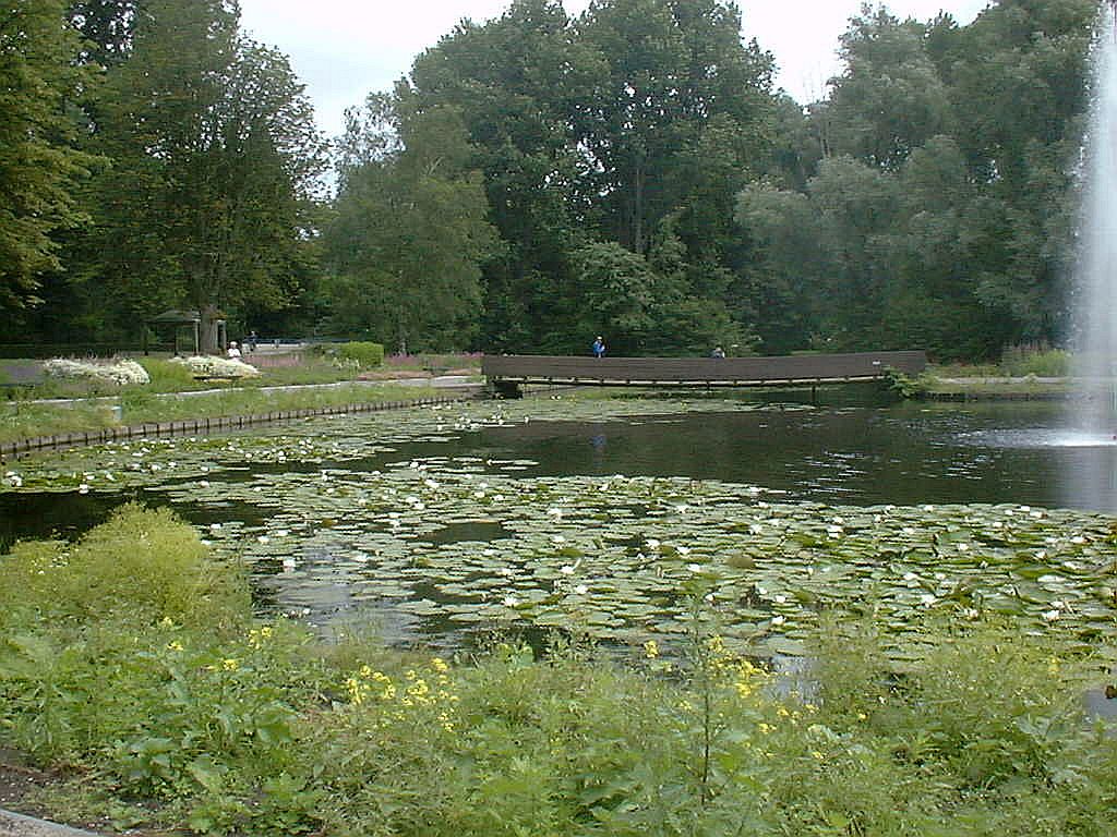 Vaste plantentuin - Amsterdam