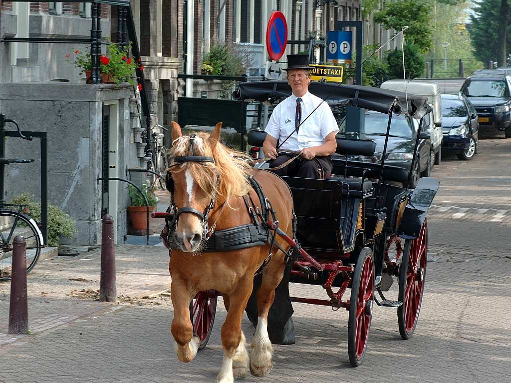 Kalkmarkt - Amsterdam