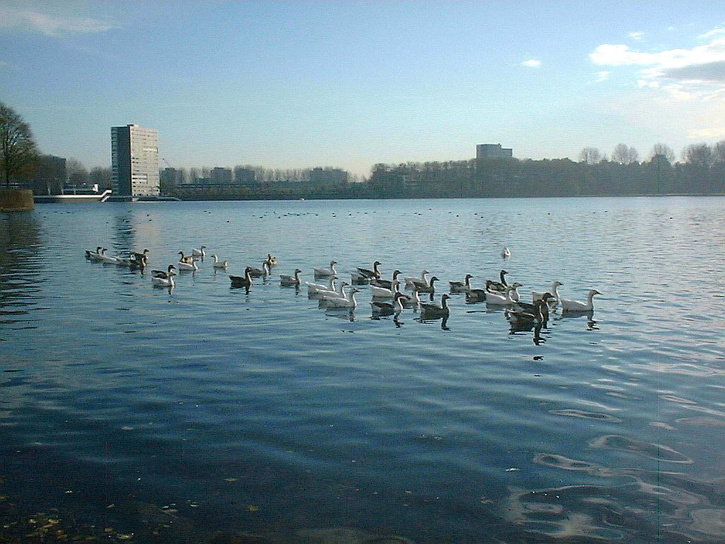 Sloterplas - Noordzijde - Amsterdam