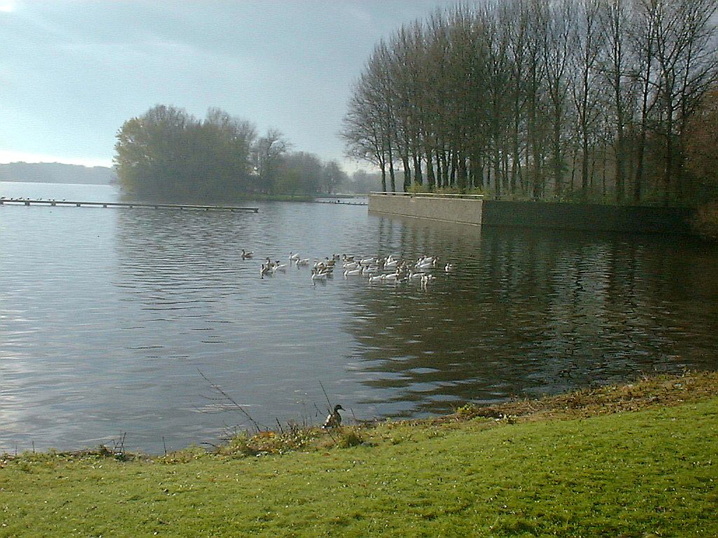 Sloterplas - Amsterdam