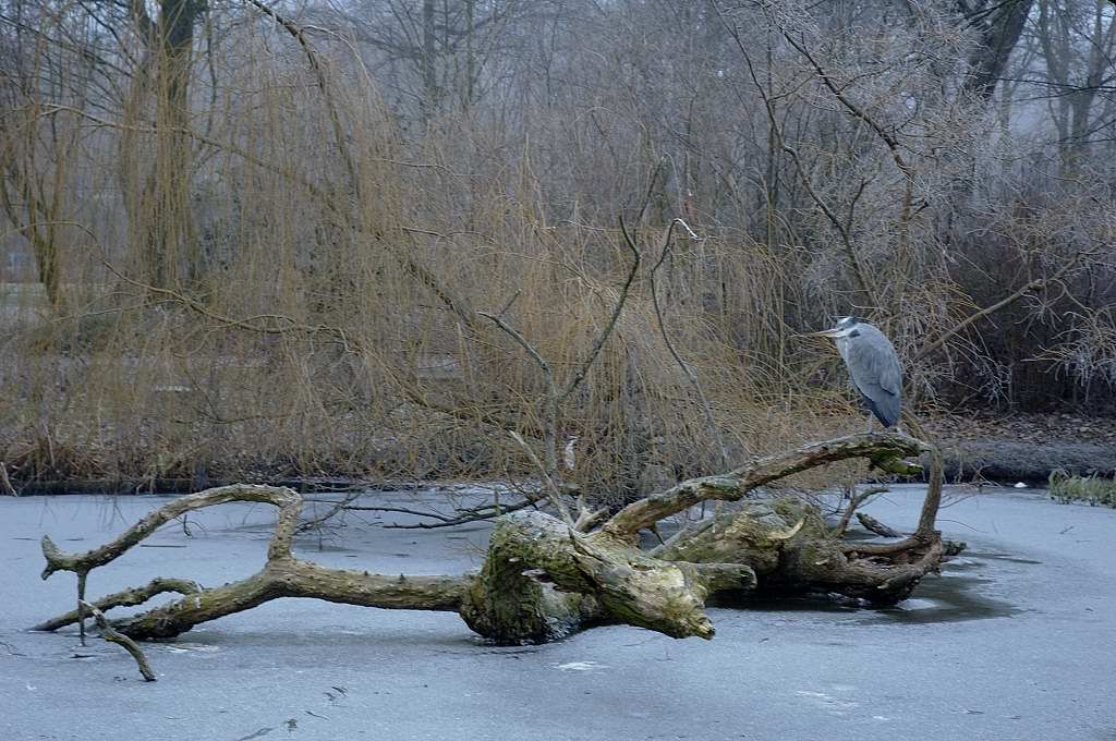 Oosterpark - Amsterdam