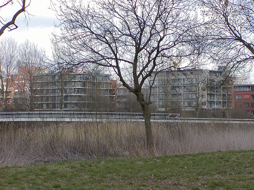 Schokkerspad  - Kotterspad - Amsterdam