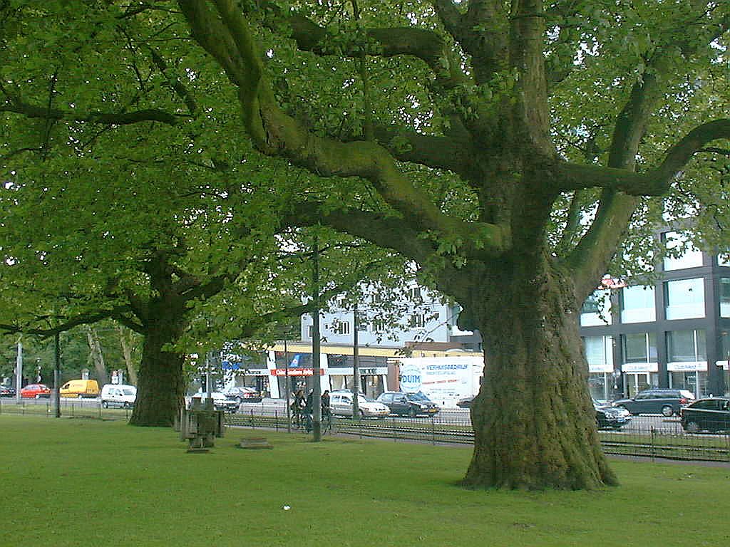 Leidsebosjes - Horizontale compositie - Amsterdam