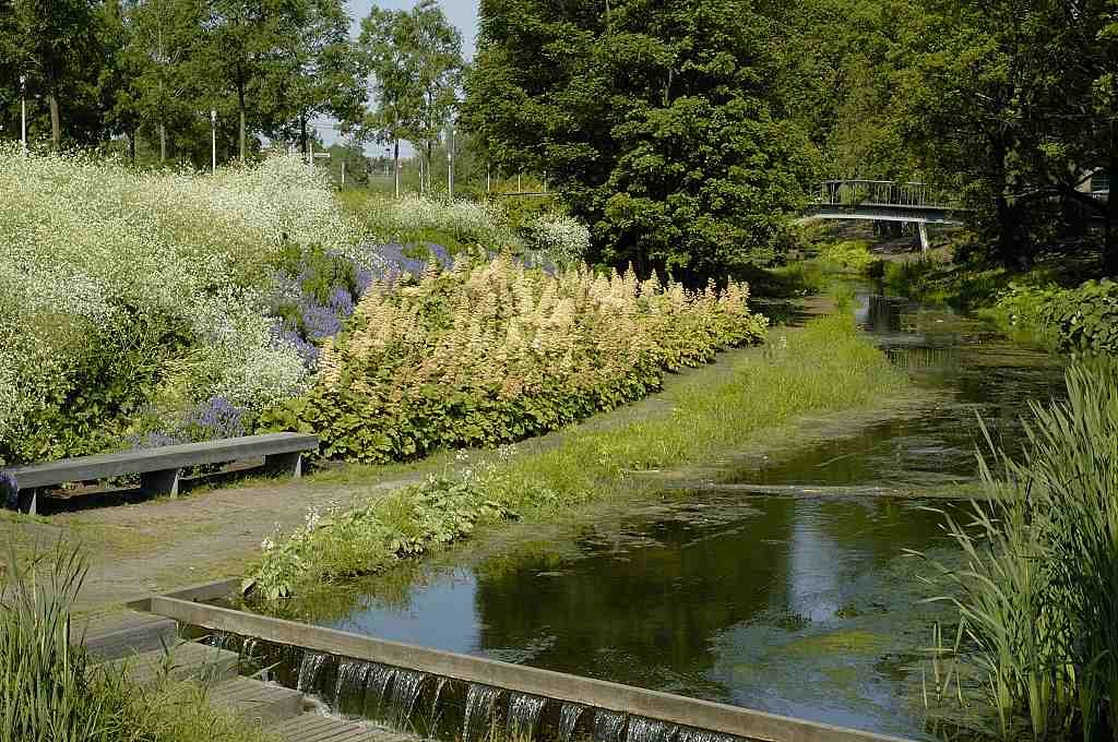 Waternatuurtuin - Amsterdam