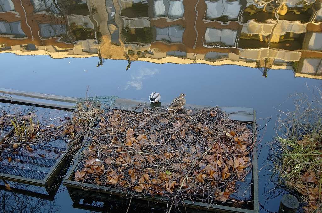Lijnbaansgracht - Amsterdam