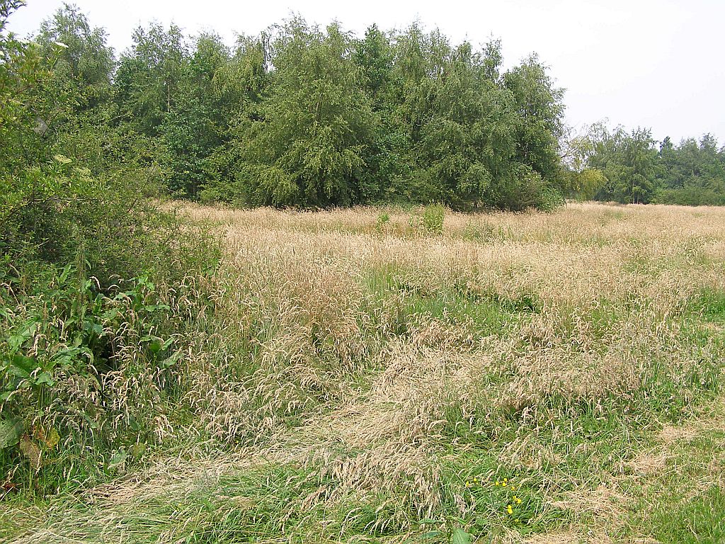 Park Overamstel - Amsterdam