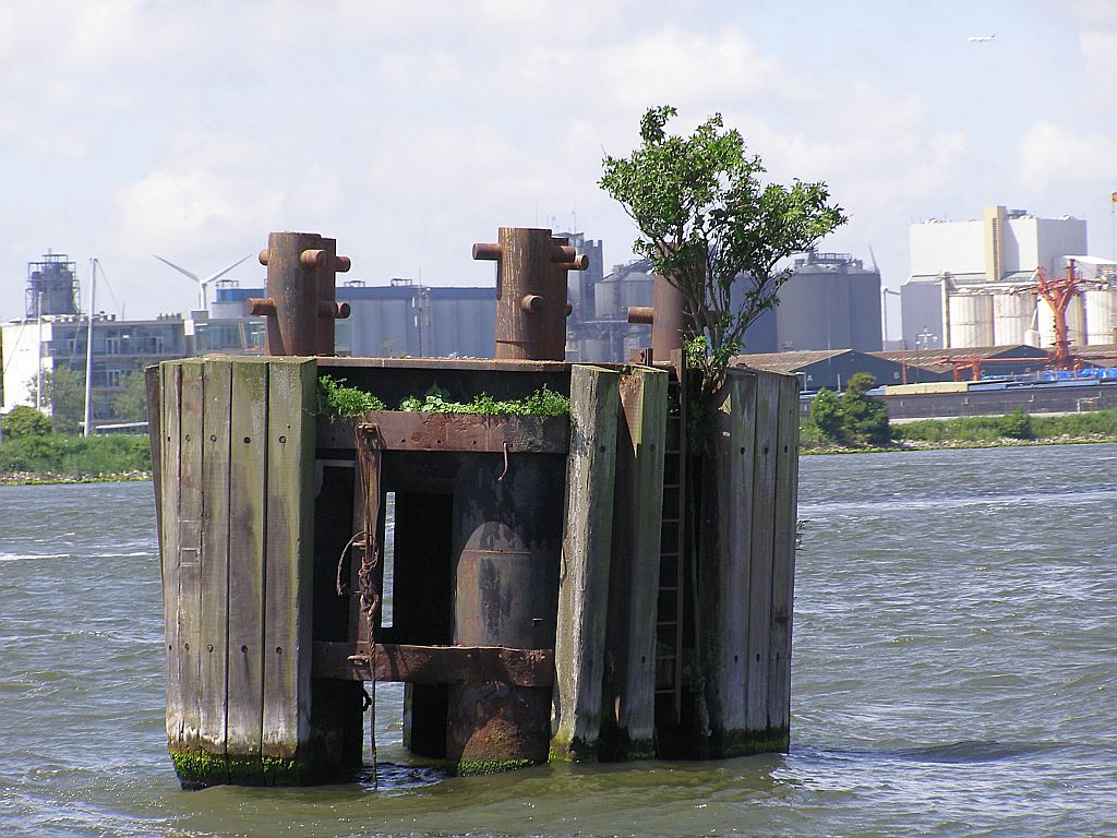 Het IJ - Amsterdam