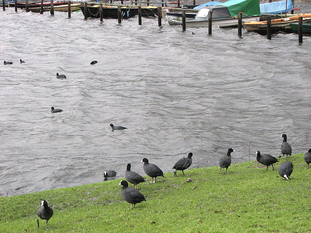 Jachthaven Sloterplas - Amsterdam