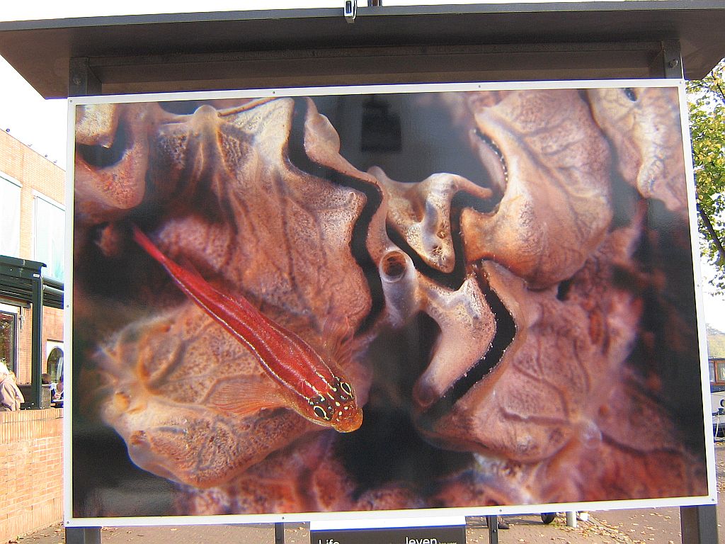 Planet Ocean - Amsterdam