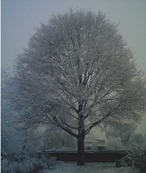 Westerpark - Amsterdam