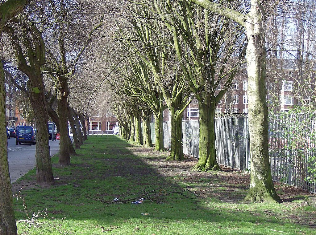 Sportpark Uiterwaardenstraat - Amsterdam