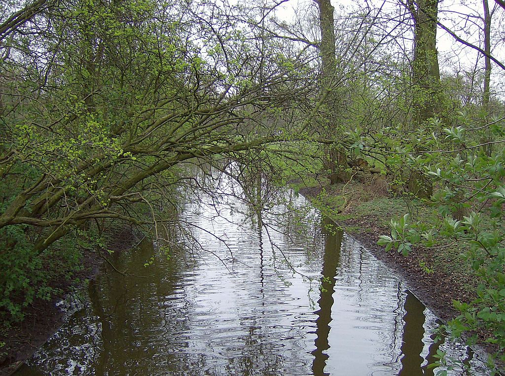 Noordlus - Amsterdam