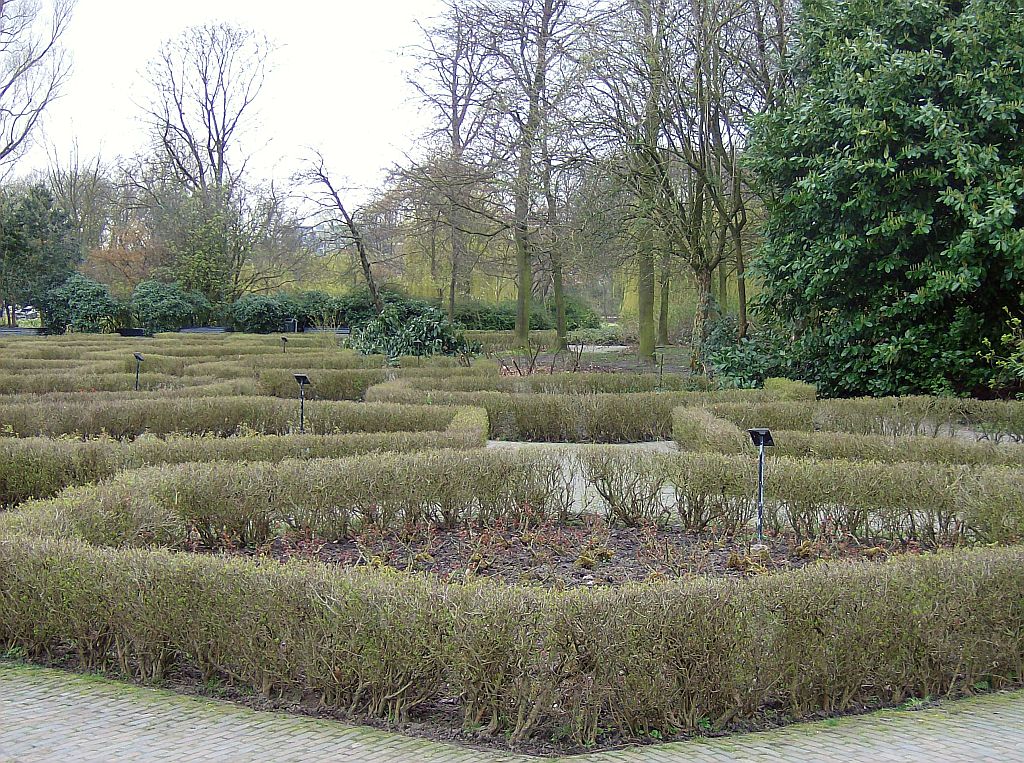 Rosarium - Amsterdam