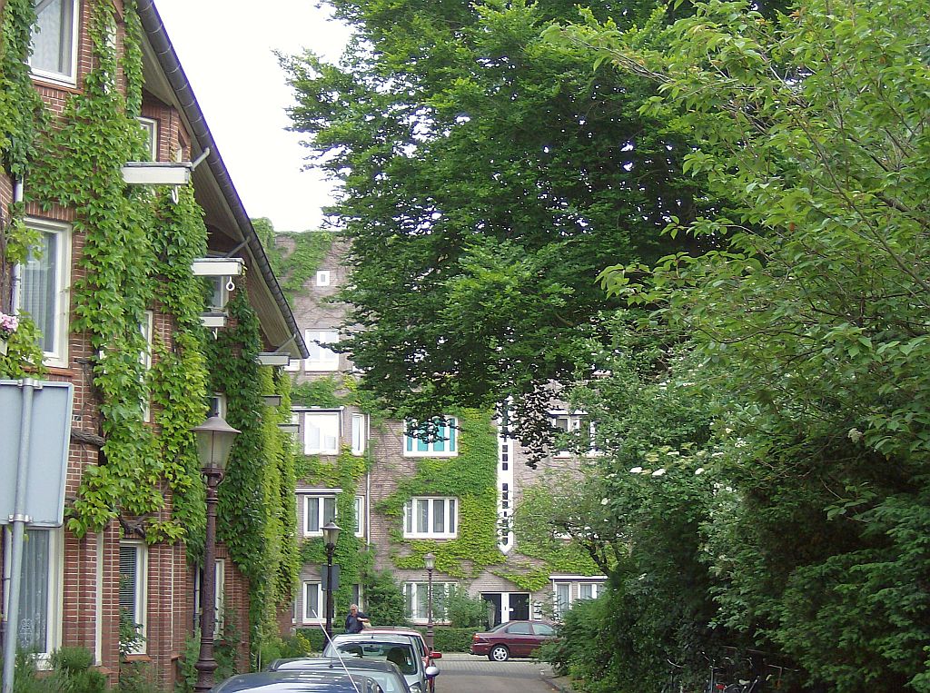 Harmoniehof - Amsterdam