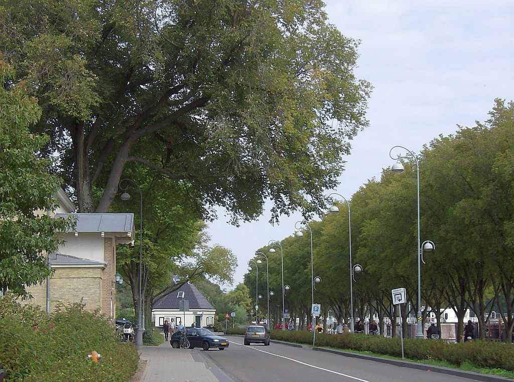 Buiksloterweg - Het Tolhuis - Amsterdam