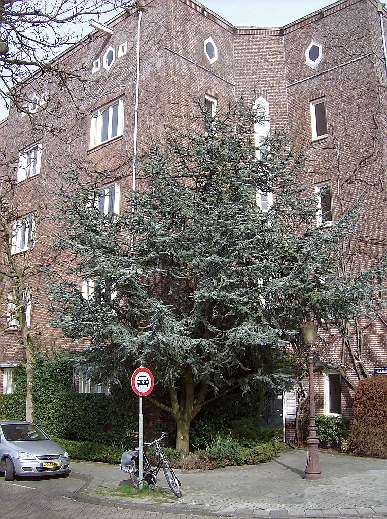 Reijnier Vinkeleskade - Amsterdam