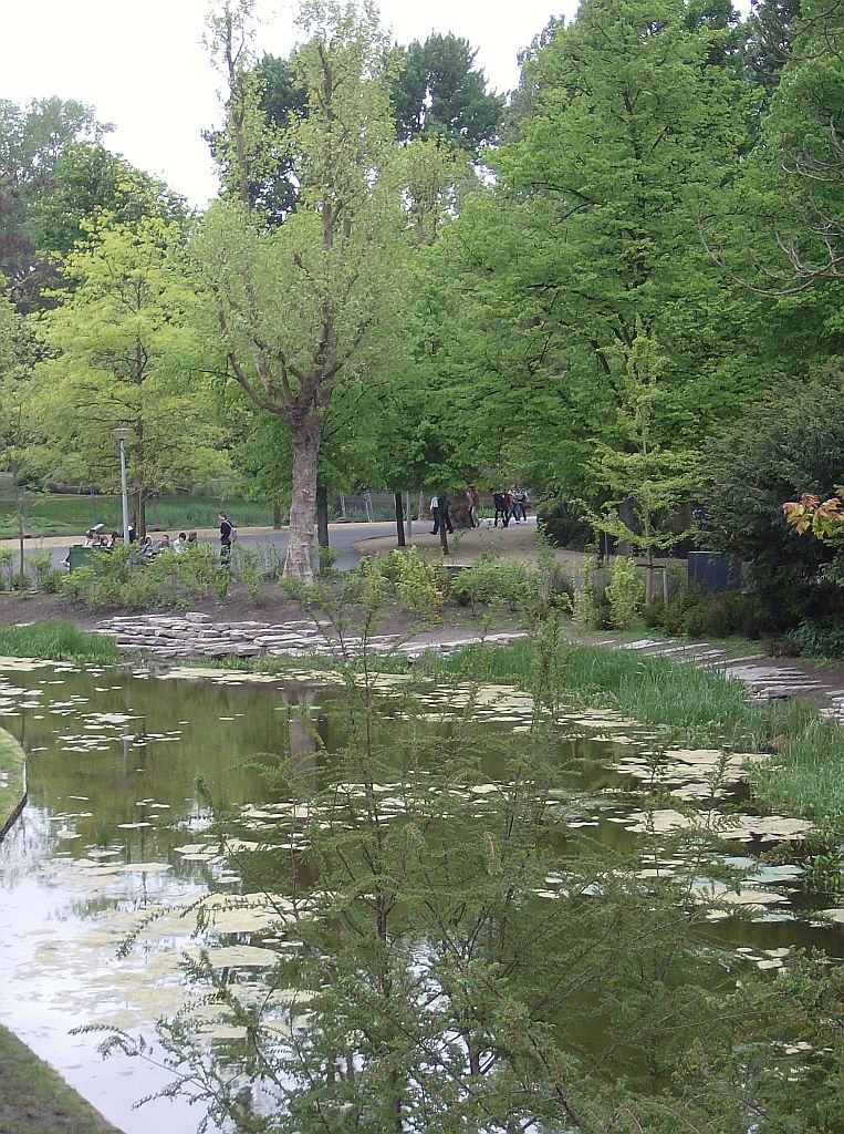 De Nieuwe Vijver - Amsterdam