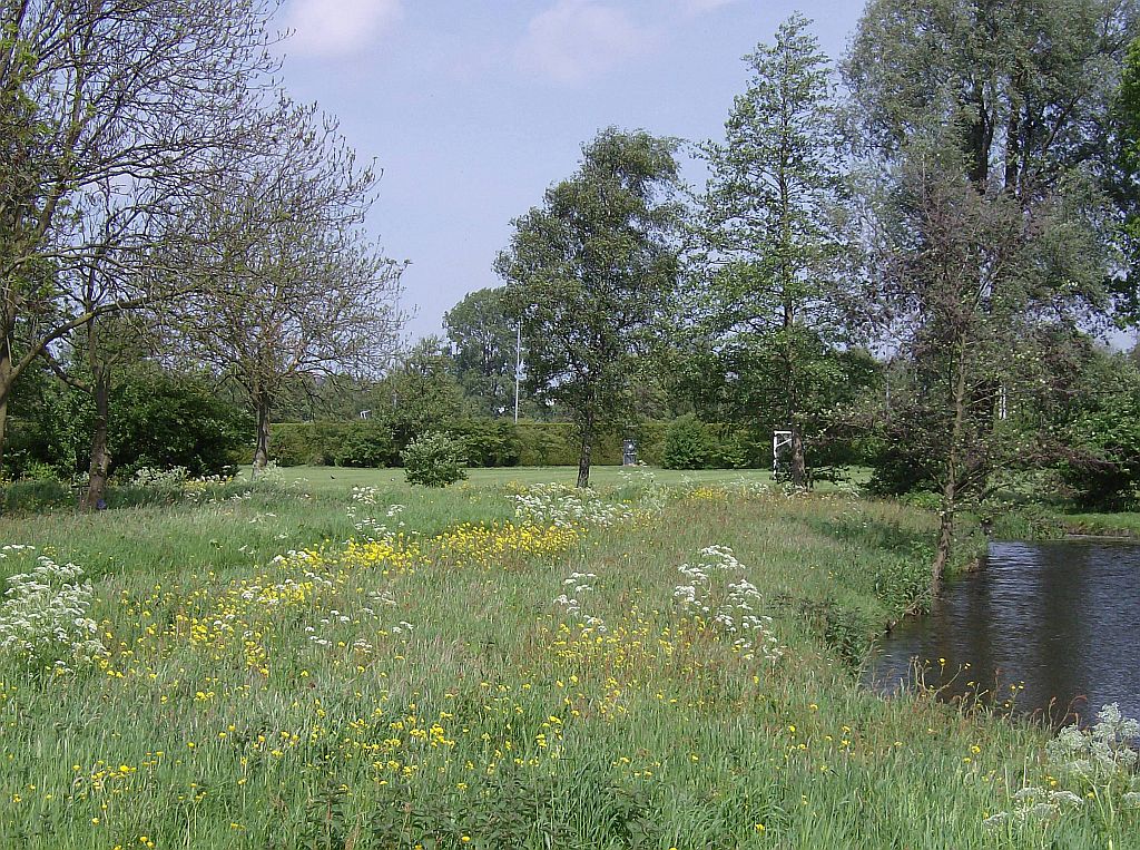 Park Overamstel - Amsterdam