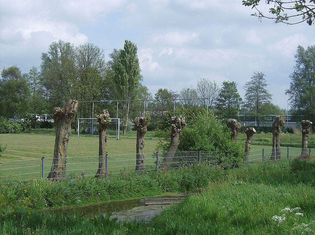 Sportpark Overamstel - Amsterdam