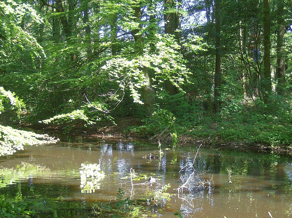 Klimpark Fun Forest - Amsterdam