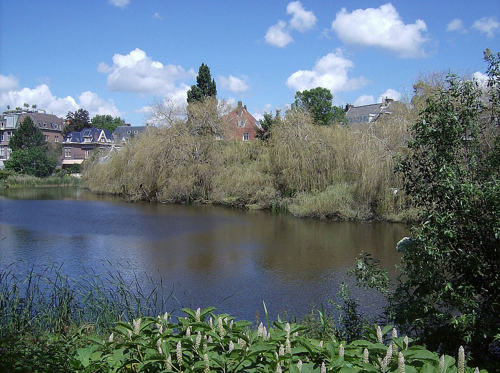 Willemsparkvijver - Amsterdam