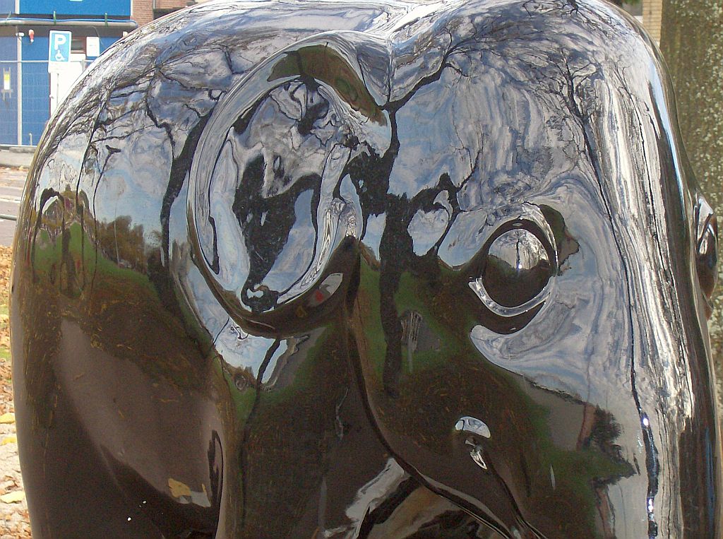 Elephant Parade - Amsterdam