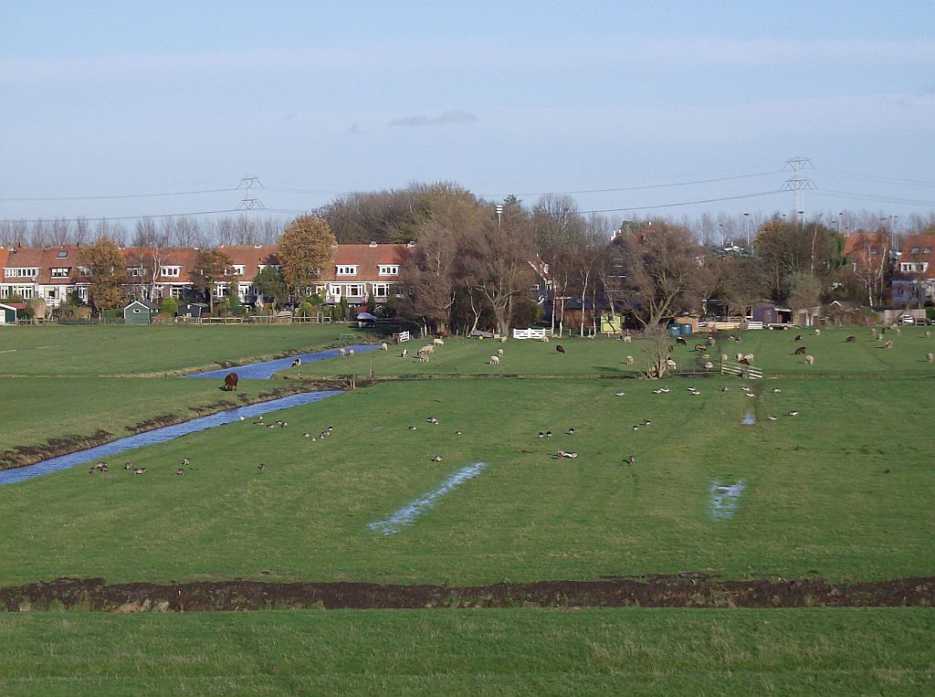 Wilmkebreekpolder - Kadoelenweg - Amsterdam