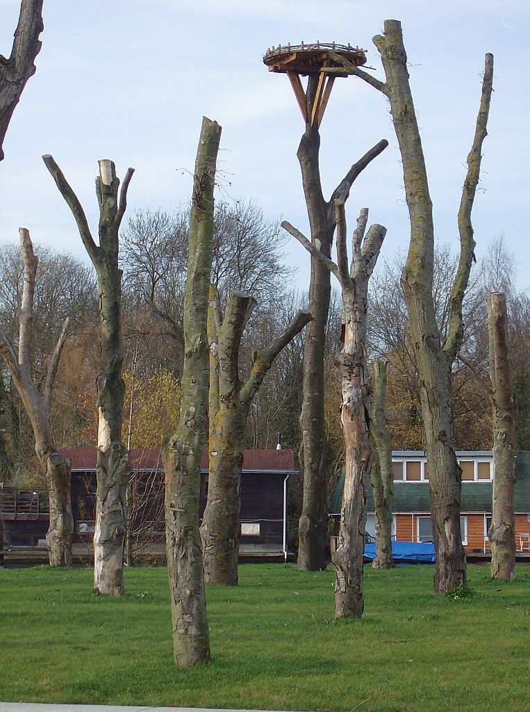 Natuureiland - Amsterdam