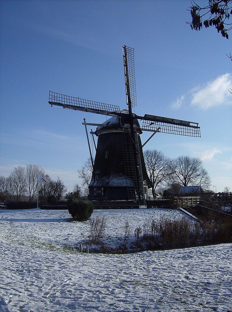 Riekermolen - Amsterdam
