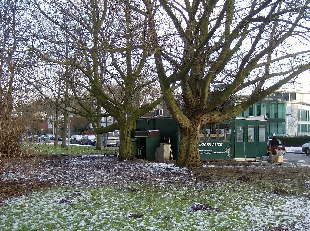 De Cuserstraat - Bloemenkiosk Alice - Amsterdam