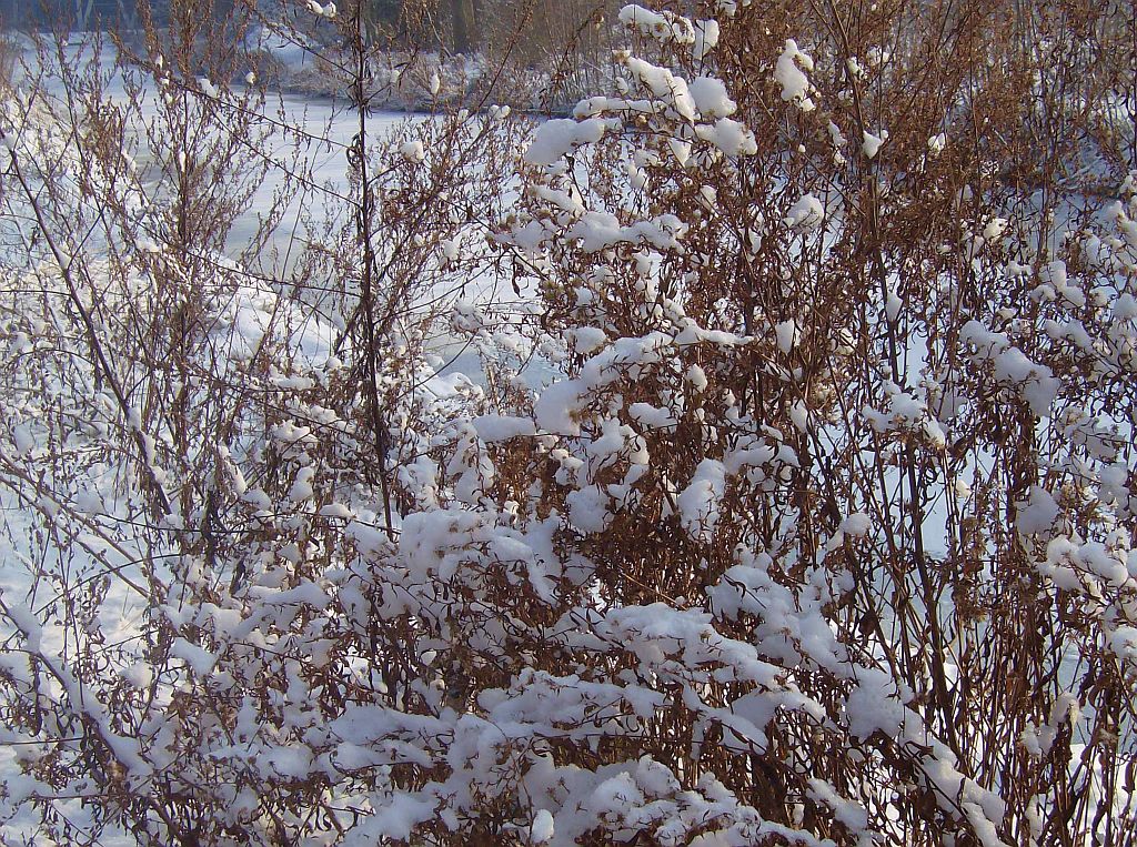 Taludweg - Amsterdam